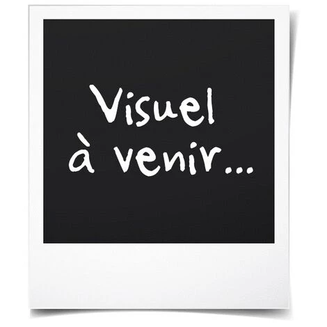 MICHELIN POMPE A PIED 2 PISTONS A MANOMETRE HOMOLO 009502 â Image 4