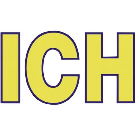 ICH Raccord En Y 60105 Filetage Intérieur 1/2 1 Pc(s) â Image 2