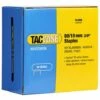 Boîte De 10000 Agrafes Galvanisées De Type 80 L. 10 Mm - TA-0383 - Tacwise